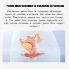 Ultimate Pelvic Floor Repair Device | Kegal Trainer