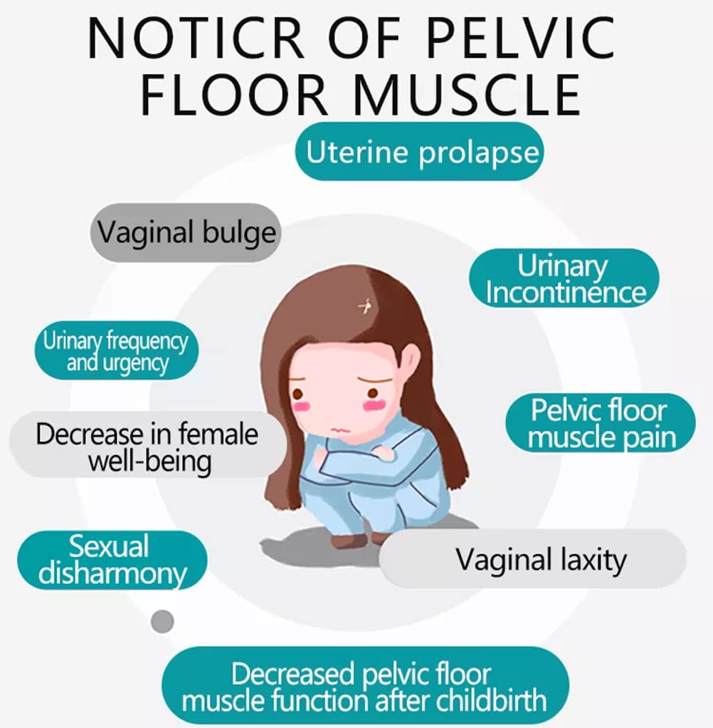Postpartum Pelvic Rejuvenator | Kegal Trainer