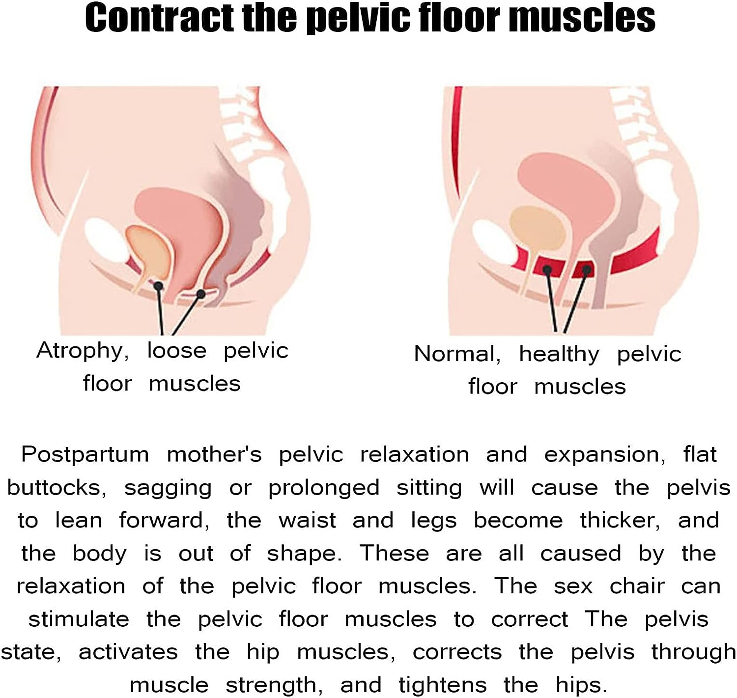 Ultimate Pelvic Floor Repair Device | Kegal Trainer